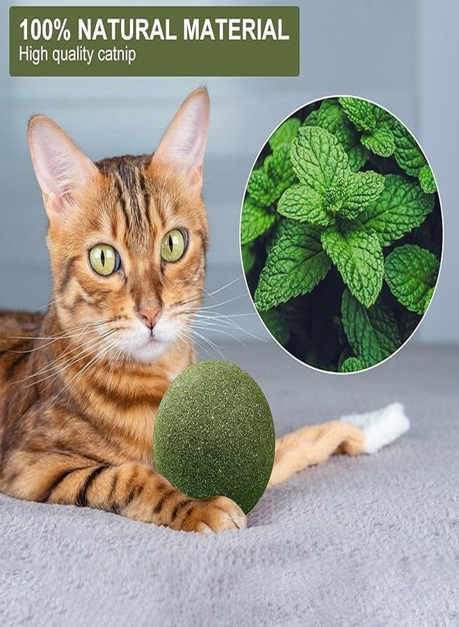 PARVY® Catnip Mint Ball for Cats Interactive Dental Chew Toy Natural Teeth Cleaning Rotating Mint Ball for Indoor Cats and Kittens (Pack of 2) - Image 5